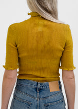 Load image into Gallery viewer, Sheer Turtleneck, Camilla
