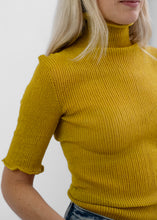 Load image into Gallery viewer, Sheer Turtleneck, Camilla
