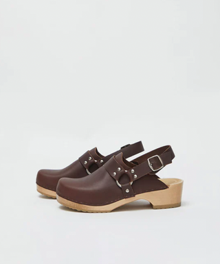 Brando Clog, Molasses