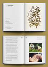 Load image into Gallery viewer, In Pursuit of Color: From Fungi to Fossil Fuels
