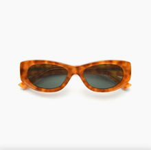Load image into Gallery viewer, Newt, Havana / Teal
