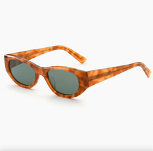 Load image into Gallery viewer, Newt, Havana / Teal
