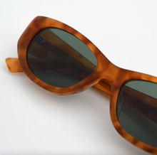 Load image into Gallery viewer, Newt, Havana / Teal
