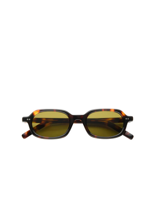 Psyche, Tortoise / Brown