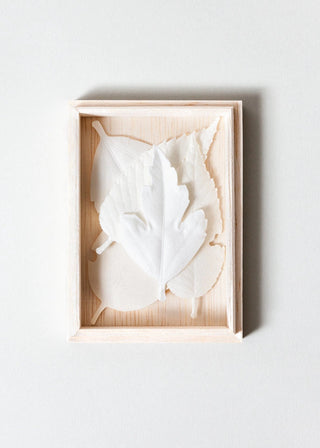 Ha Ko Paper Incense, Set of 5