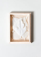 Load image into Gallery viewer, Ha Ko Paper Incense, Set of 5

