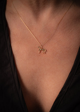 eugenie x BRUCE Fire Horse Charm